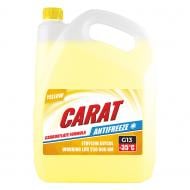 Антифриз CARAT KR82417 G13 готовый 9 л 9 кг желтый (KR82417) Антифриз CARAT KR82417 G13 готовый 9 л 9 кг желтый (KR82417)