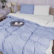 Наволочка бязь Rebeca (11-2101+14-4121) 70x70 см белый/голубой MirSon