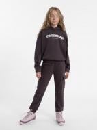 Штани 4F TROUSERS CAS F422 4FJAW23TTROF422-50S р. 158 фіолетовий