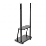 Стенд мобильный Intboard 43"-55" (10907009)