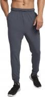 Брюки Nike M NK DRY PANT TPR HPRDRY LT 889393-471 р. XL синий