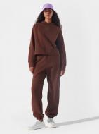 Брюки 4F 4FSSS23TTROF607-81S р. L коричневый
