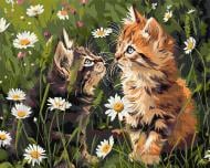 Картина по номерам Кошки в цветах art selena ua 40x50 см Ideyka