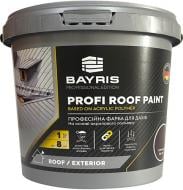 Краска для крыш акриловая Bayris PROFI ROOF PAINT мат графит 1 кг