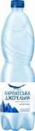 Вода Карпатська джерельна 4820051241124 сильногазована 1 л