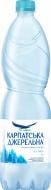Вода Карпатська джерельна негазированная столовая 1 л