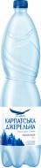 Вода Карпатська джерельна 4820051240011 сильногазированная 1,5 л Вода Карпатська джерельна 4820051240011 сильногазированная 1,5 л