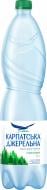 Вода Карпатська джерельна 4820051240103 слабогазированная 1,5 л Вода Карпатська джерельна 4820051240103 слабогазированная 1,5 л