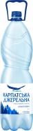 Вода Карпатська джерельна 4820051240035 сильногазована 2 л
