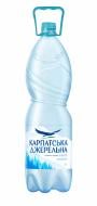 Вода мінеральна Карпатська джерельна Карпатська джерельна 2 л (4820051240202)
