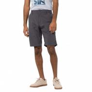 Шорти Jack Wolfskin DESERT VALLEY SHORTS MEN 1504741_6168 р. 48 темно-сірий