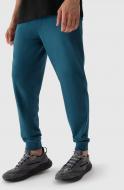 Брюки 4F 4FRAW23TTROM699-46S р. 3XL зеленый Брюки 4F 4FRAW23TTROM699-46S р. 3XL зеленый