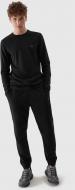 Брюки 4F 4FRAW23TTROM703-20S р. XL черный