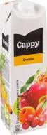 Нектар CAPPY з фруктових соків та пюре Exotic 1 л