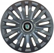 Колпак для колес SJS Skoda (зеленая) 217 R14" 4 шт. черный (110824)