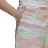 Шорти Adidas Shorts GN4293 р. 38 різнокольоровий