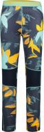 Термобрюки Icepeak CHASKA 54786_636_I_390 р.M синий
