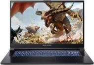Ноутбук Dream Machines RG3050-17 17,3" (RG3050-17UA54) black