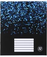 Зошит 12 аркушів у клітинку (2252547034019) Nota Bene