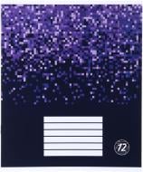 Тетрадь 12 листов в косую линию (2252547036013) Nota Bene