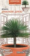 Семена Драконовоє дерево Семена Драконовоє дерево