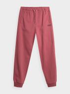 Штани 4F TROUSERS CAS M466 4FAW23TTROM466-62S р. 2XL рожевий