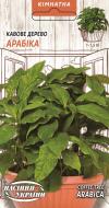 Семена Арабика Семена Арабика