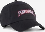 Кепка Puma FPF CULTURE Cap 02706605 OSFA черный