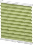 Штора-плиссе Rollotex ткань DUO TERMO 109х85 см Фисташковый