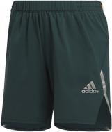 Шорты Adidas HL3940 р. XL зеленый
