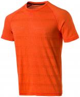 Футболка Pro Touch AFI UX 285847-237 р.S оранжевый