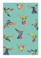 Открытка поздравительная PORTOBELLO ROAD с конвертом иллюстрированная "Колибри"