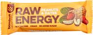 Углеводный батончик Kranzle Bombus Raw Energy арахис и финики 50 г