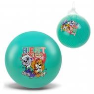 Мяч Paw Patrol 6'' 50 г бирюзовый PP2520 Мяч Paw Patrol 6'' 50 г бирюзовый PP2520