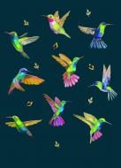 Открытка поздравительная Yours Truly с конвертом иллюстрированная "Колибри"