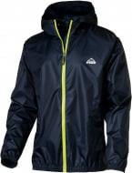 Куртка мужская демисезонная McKinley Litiri ux 257581-31338 р.S синяя