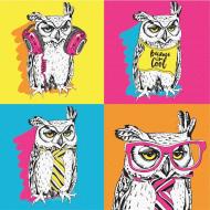 Холст на картоне с контуром Pop Art Owl 30х30 см Rosa Start