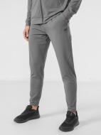 Штани 4F D4Z21-SPMTR211-22S р. L сірий