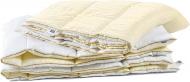 Одеяло EcoSilk Carmela Зима №008 110x140 см MirSon