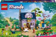 Конструктор LEGO Friends Будиночок і квітник бджолярів 42669