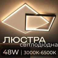 Люстра Valeso LED Disk 2023226 D550xH60 мм 48W 3000Lm 3000K/4000K/6000K акрил черный/белый 48 Вт LED-модуль 44758