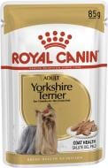 Корм вологий для дорослих собак для малих порід Royal Canin YORKSHIRE TERRIER ADULT (Йоркшир Тер'єр Едал