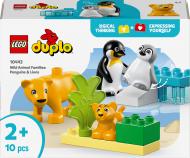 Конструктор LEGO DUPLO Сімейства диких тварин: Пінгвіни та Леви 10442