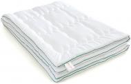 Одеяло EcoSilk Лето №001 110x140 см MirSon