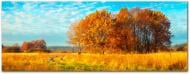 Картина Осінь 57x150 см YS-Art Картина Осінь 57x150 см YS-Art