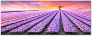 Картина Лавандове поле 57x150 см YS-Art Картина Лавандове поле 57x150 см YS-Art