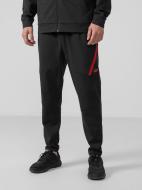 Брюки 4F D4Z21-SPMTR210-20S р. 2XL черный