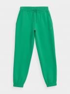 Брюки 4F 4FAW21TTROF019-41S р. XS зеленый