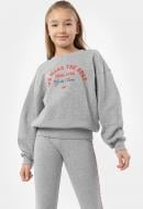 Джемпер 4F JBLD005-27M р.164 серый