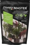 Удобрение минеральное Valagro Master для декоративно-лиственных 250 г